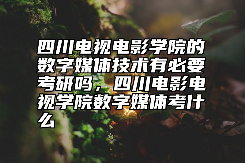 四川电视电影学院的数字媒体技术有必要考研吗，四川电影电视学院数字媒体考什么
