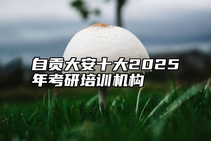 自贡大安十大2025年考研培训机构