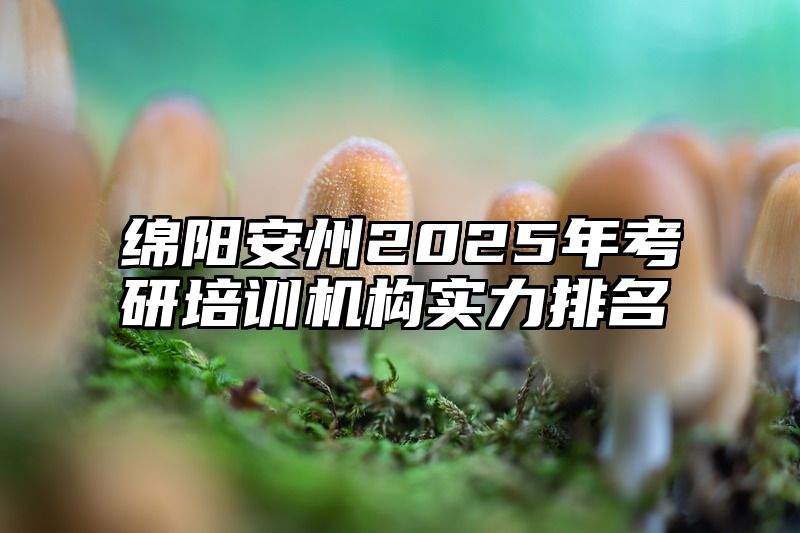 绵阳安州2025年考研培训机构实力排名
