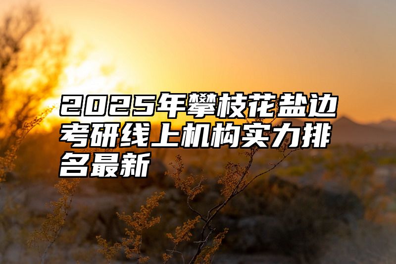 2025年攀枝花盐边考研线上机构实力排名最新