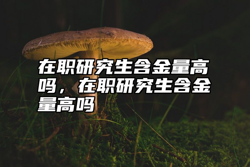 在职研究生含金量高吗，在职研究生含金量高吗