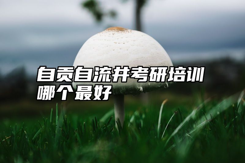 自贡自流井考研培训哪个最好