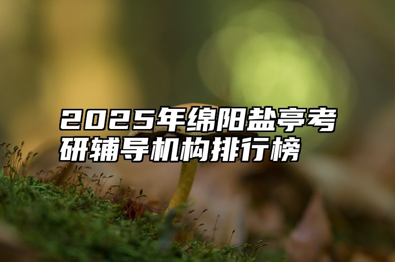 点击查看《2025年绵阳盐亭考研辅导机构排行榜》全文