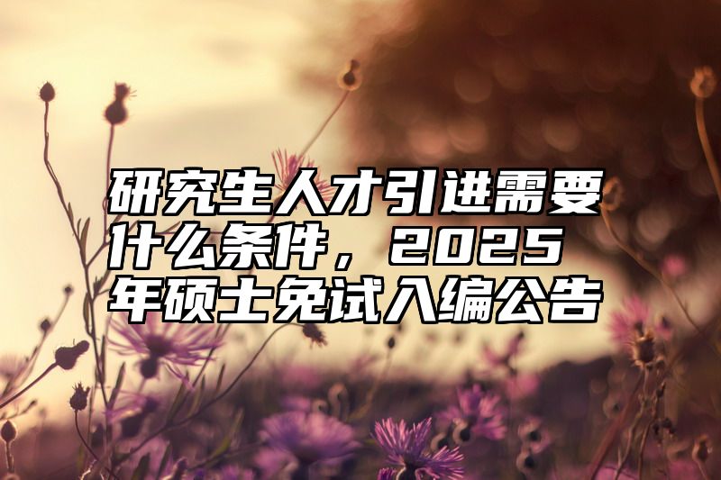研究生人才引进需要什么条件，2025年硕士免试入编公告