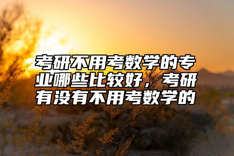 考研不用考数学的专业哪些比较好，考研有没有不用考数学的
