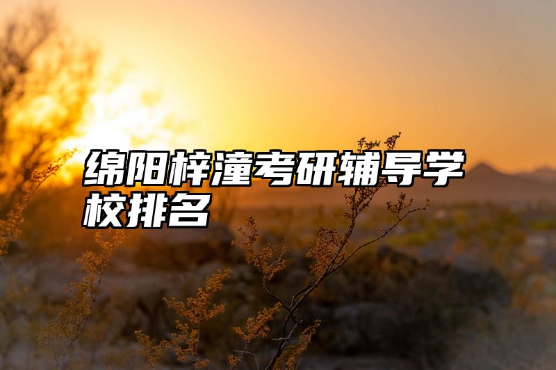 绵阳梓潼考研辅导学校排名