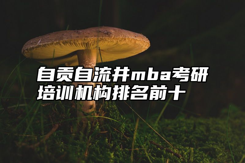 自贡自流井mba考研培训机构排名前十