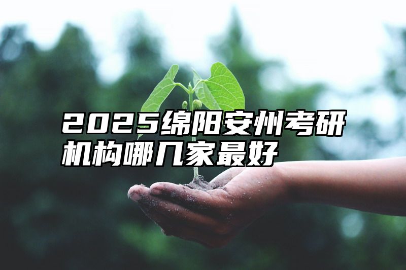 2025绵阳安州考研机构哪几家最好