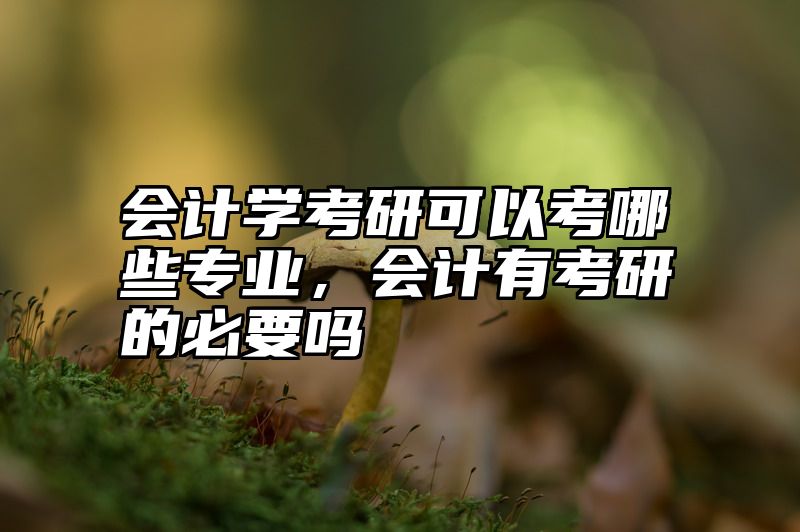 会计学考研可以考哪些专业，会计有考研的必要吗