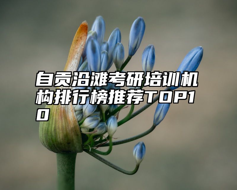 自贡沿滩考研培训机构排行榜推荐TOP10