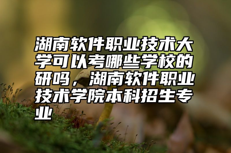 湖南软件职业技术大学可以考哪些学校的研吗,湖南软件职业技术学院本科招生专业