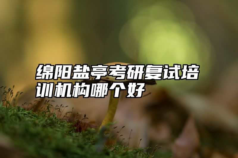 绵阳盐亭考研复试培训机构哪个好