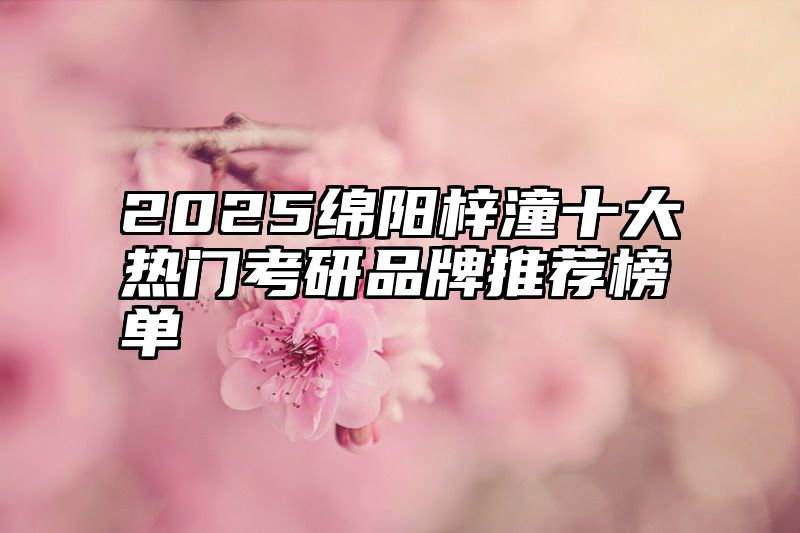 2025绵阳梓潼十大热门考研品牌推荐榜单