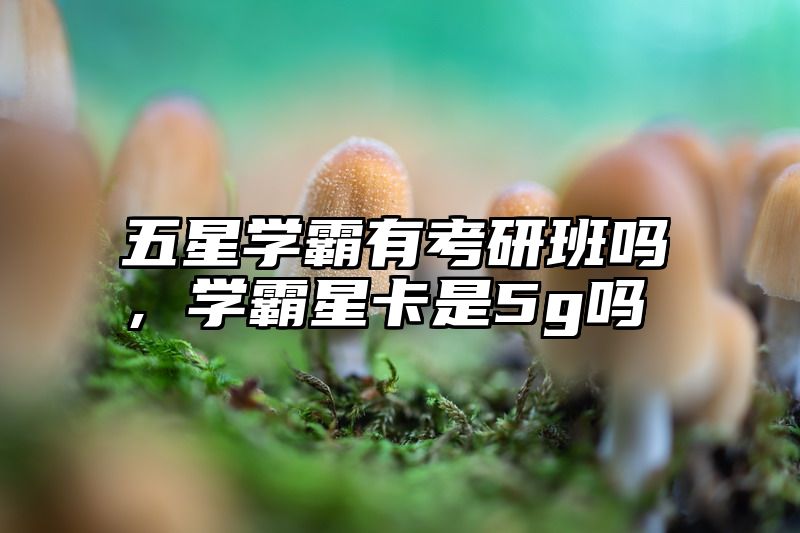 五星学霸有考研班吗，学霸星卡是5g吗