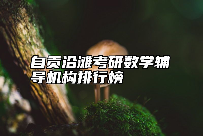 自贡沿滩考研数学辅导机构排行榜