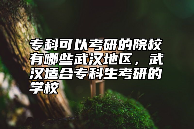 专科可以考研的院校有哪些武汉地区，武汉适合专科生考研的学校