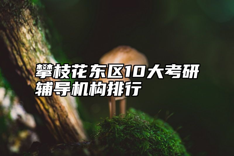 攀枝花东区10大考研辅导机构排行