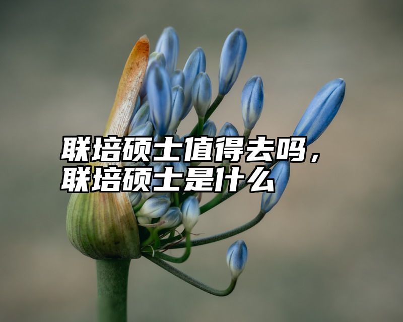 联培硕士值得去吗，联培硕士是什么