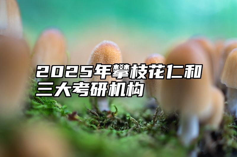 2025年攀枝花仁和三大考研机构