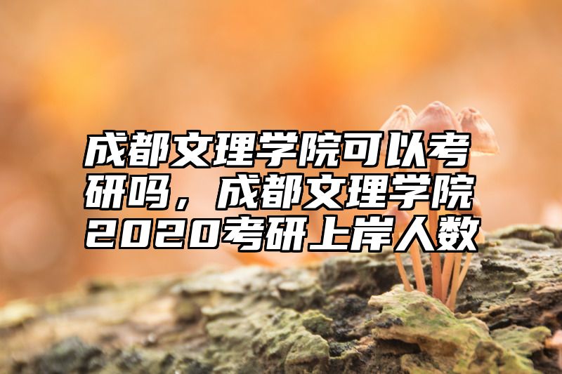 成都文理学院可以考研吗，成都文理学院2020考研上岸人数