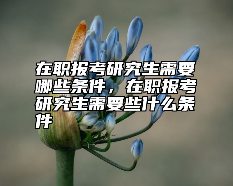 在职报考研究生需要哪些条件，在职报考研究生需要些什么条件