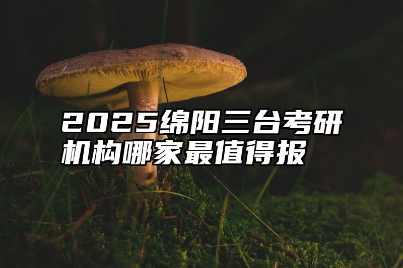 2025绵阳三台考研机构哪家最值得报