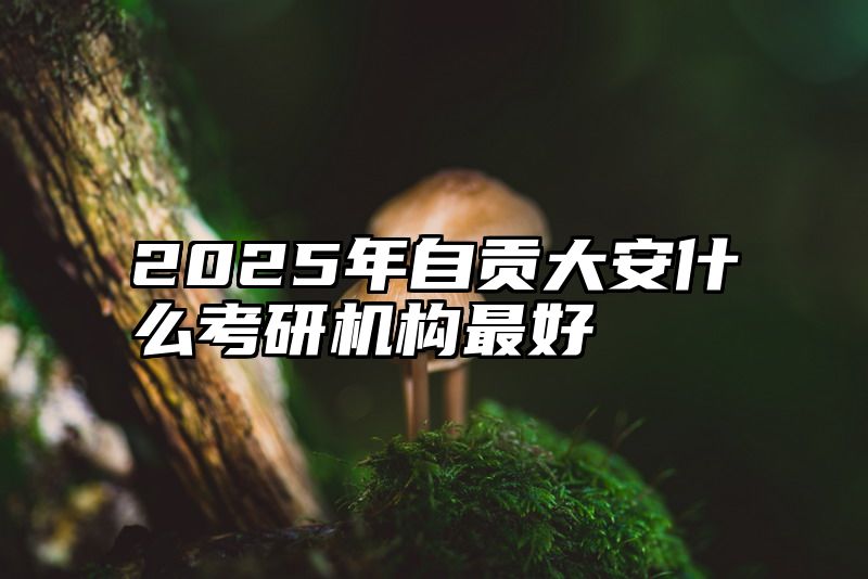 2025年自贡大安什么考研机构最好