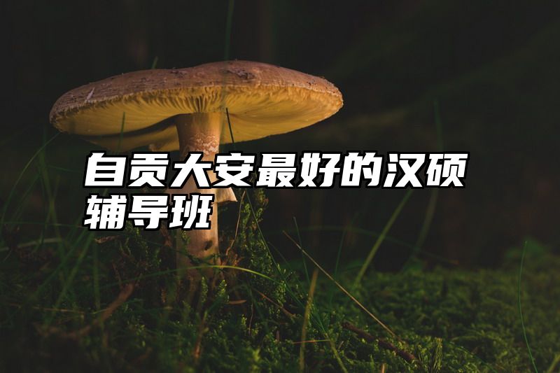 点击查看《自贡大安最好的汉硕辅导班》全文