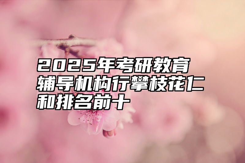 点击查看《2025年考研教育辅导机构行攀枝花仁和排名前十》全文