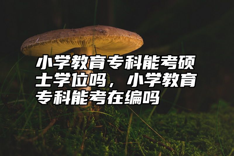 小学教育专科能考硕士学位吗，小学教育专科能考在编吗