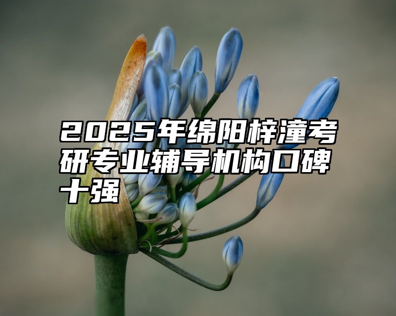2025年绵阳梓潼考研专业辅导机构口碑十强