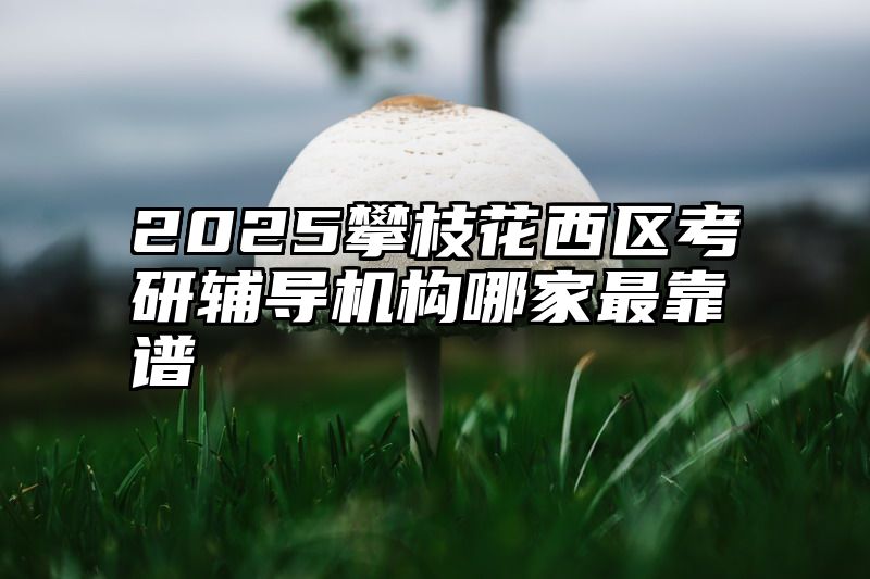 2025攀枝花西区考研辅导机构哪家最靠谱