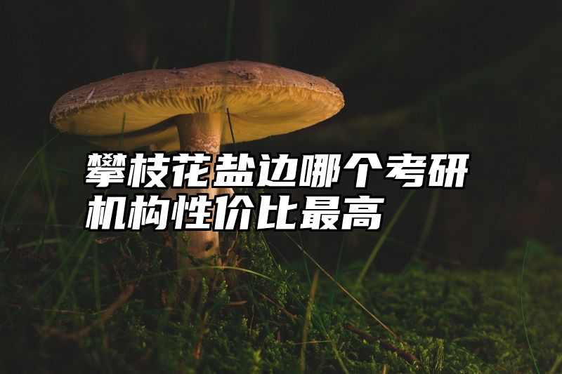 攀枝花盐边哪个考研机构性价比最高