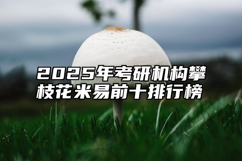 点击查看《2025年考研机构攀枝花米易前十排行榜》全文