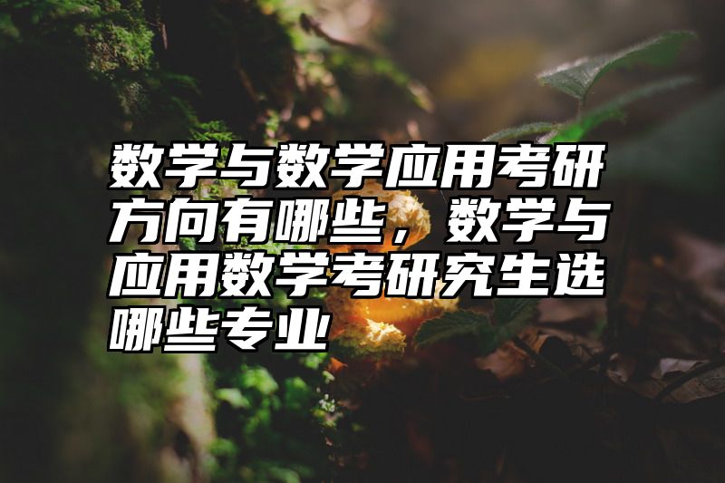 数学与数学应用考研方向有哪些，数学与应用数学考研究生选哪些专业