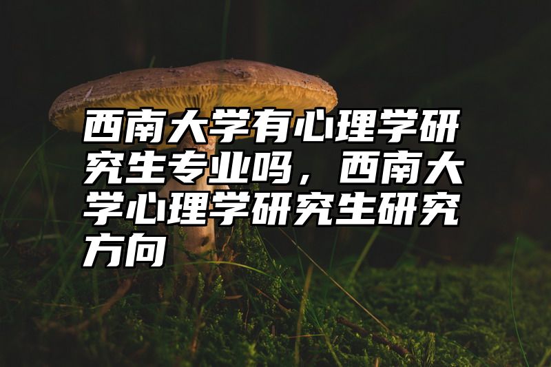 西南大学有心理学研究生专业吗，西南大学心理学研究生研究方向