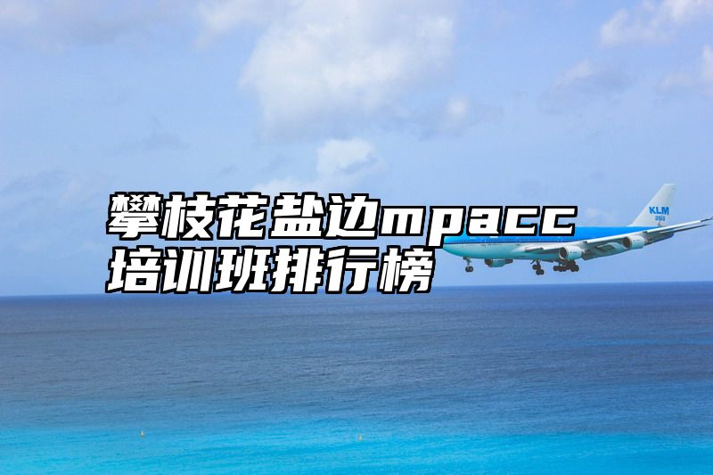 点击查看《攀枝花盐边mpacc培训班排行榜》全文