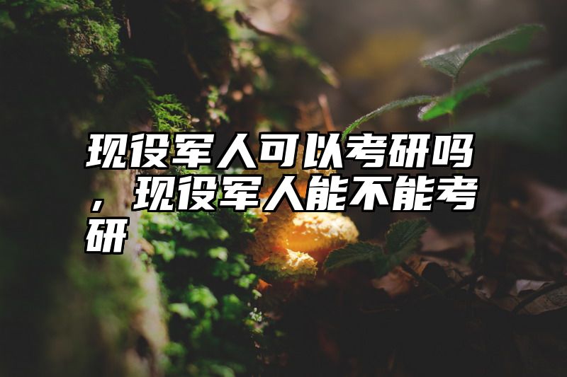 点击查看《现役军人可以考研吗，现役军人能不能考研》全文
