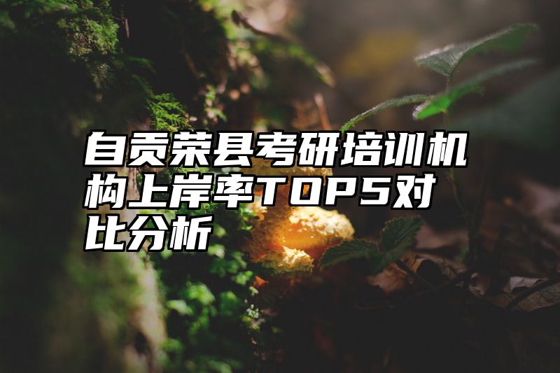 自贡荣县考研培训机构上岸率TOP5对比分析