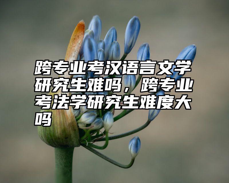 跨专业考汉语言文学研究生难吗，跨专业考法学研究生难度大吗