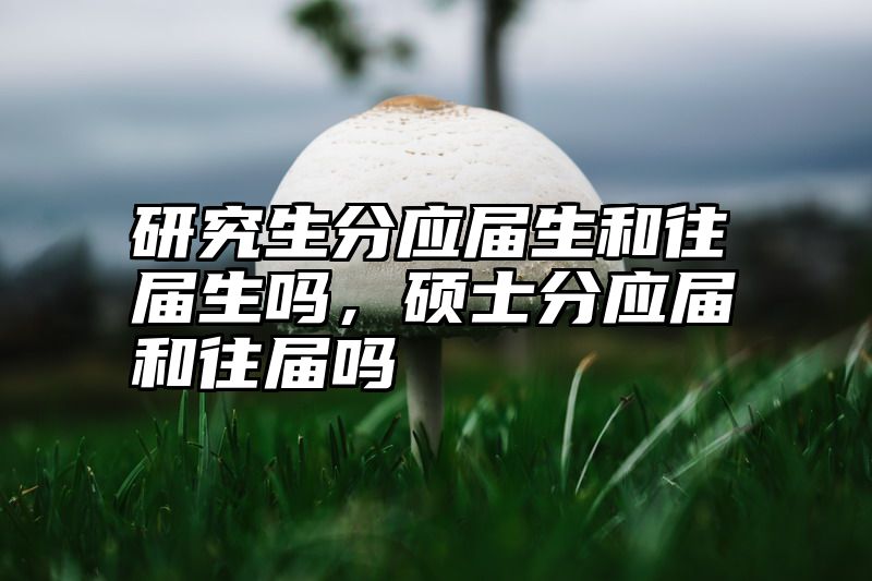 研究生分应届生和往届生吗，硕士分应届和往届吗