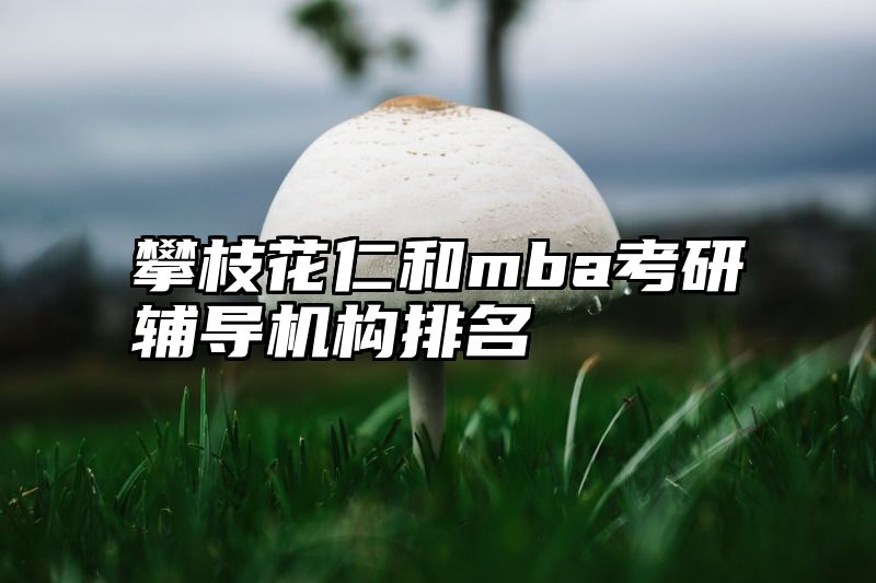 攀枝花仁和mba考研辅导机构排名
