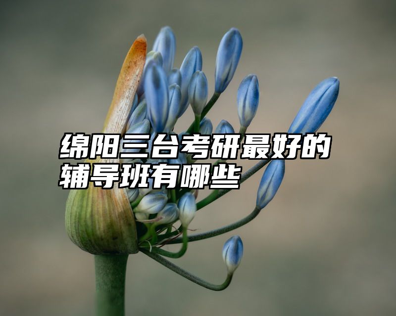 绵阳三台考研最好的辅导班有哪些
