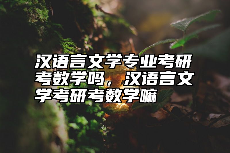 汉语言文学专业考研考数学吗，汉语言文学考研考数学嘛