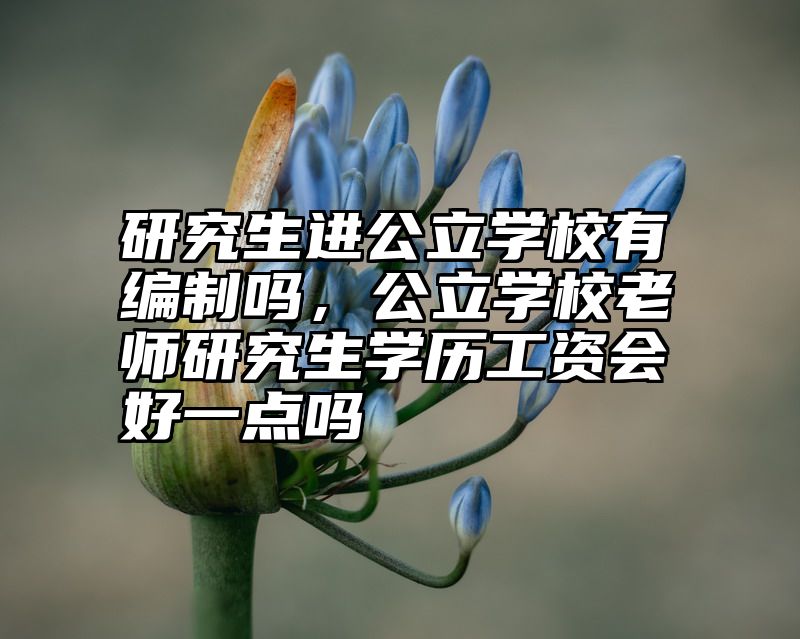 研究生进公立学校有编制吗，公立学校老师研究生学历工资会好一点吗