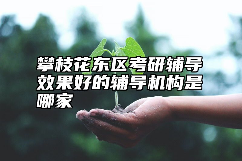 攀枝花东区考研辅导效果好的辅导机构是哪家