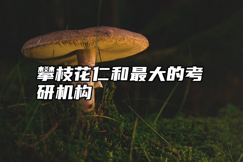 攀枝花仁和最大的考研机构