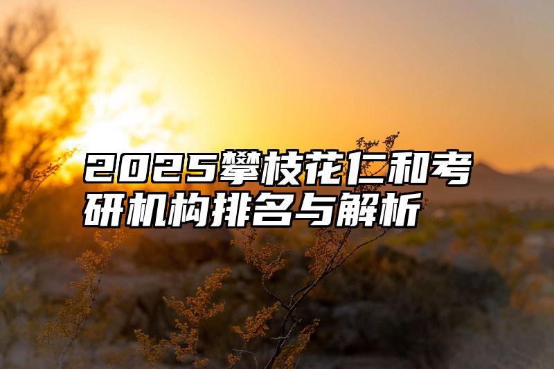 2025攀枝花仁和考研机构排名与解析