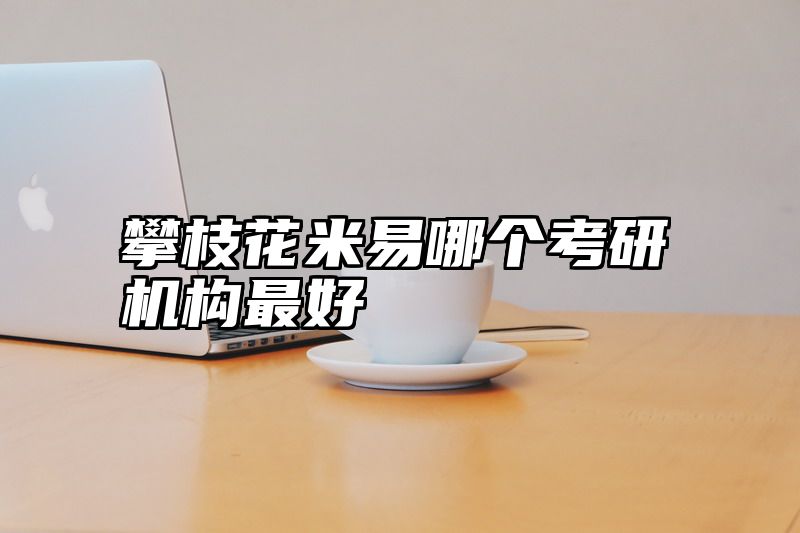 攀枝花米易哪个考研机构最好