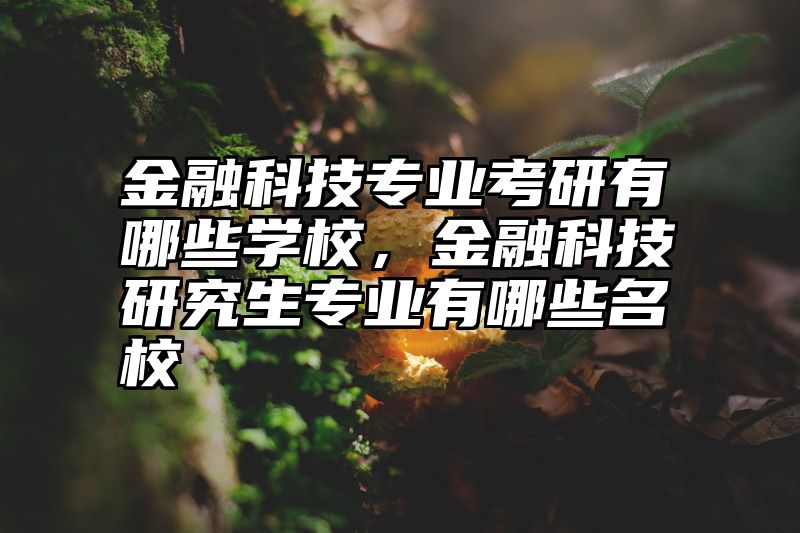 金融科技专业考研有哪些学校，金融科技研究生专业有哪些名校